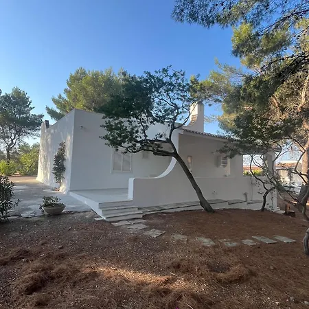 Bouganville Ostuni